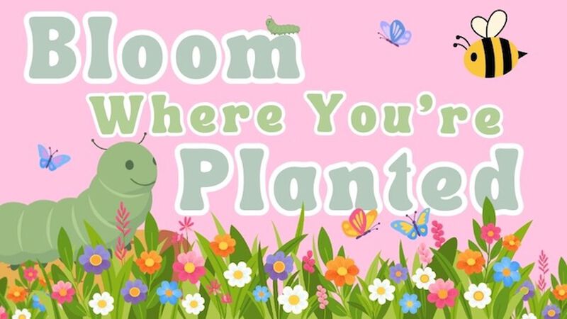 Bloom Where You're Planted